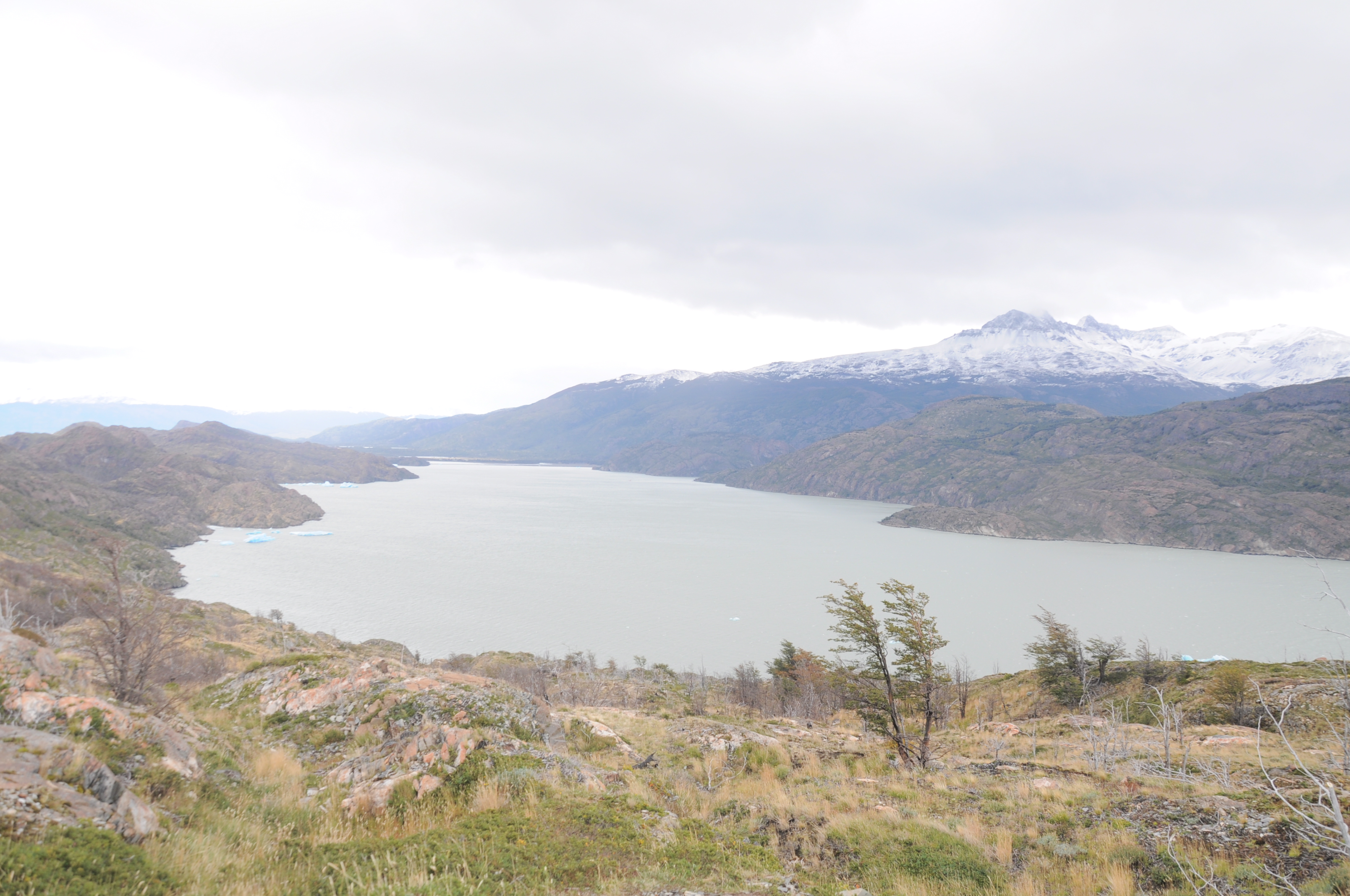 Lago Grey
