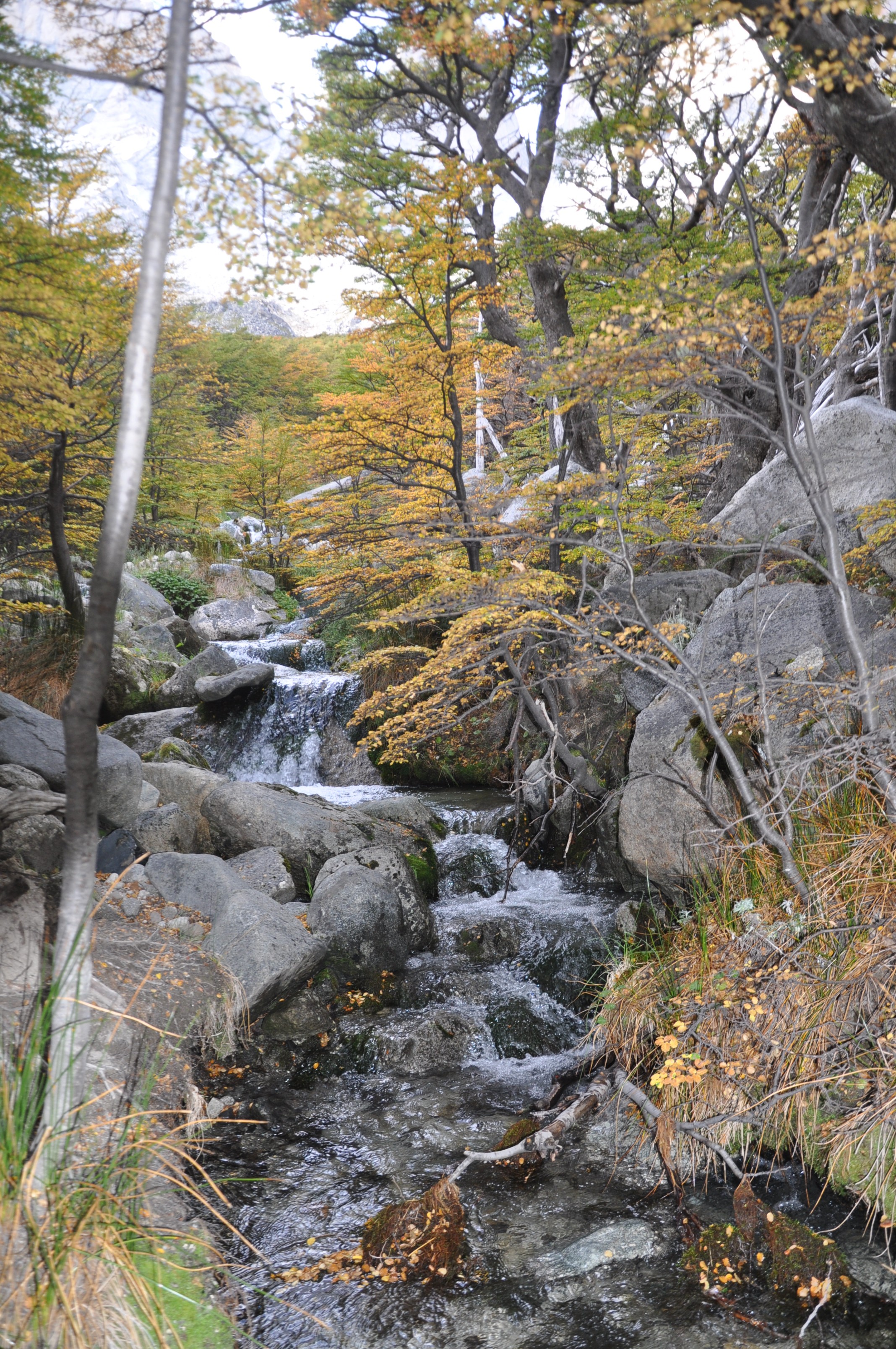 Valley Frances: Creek