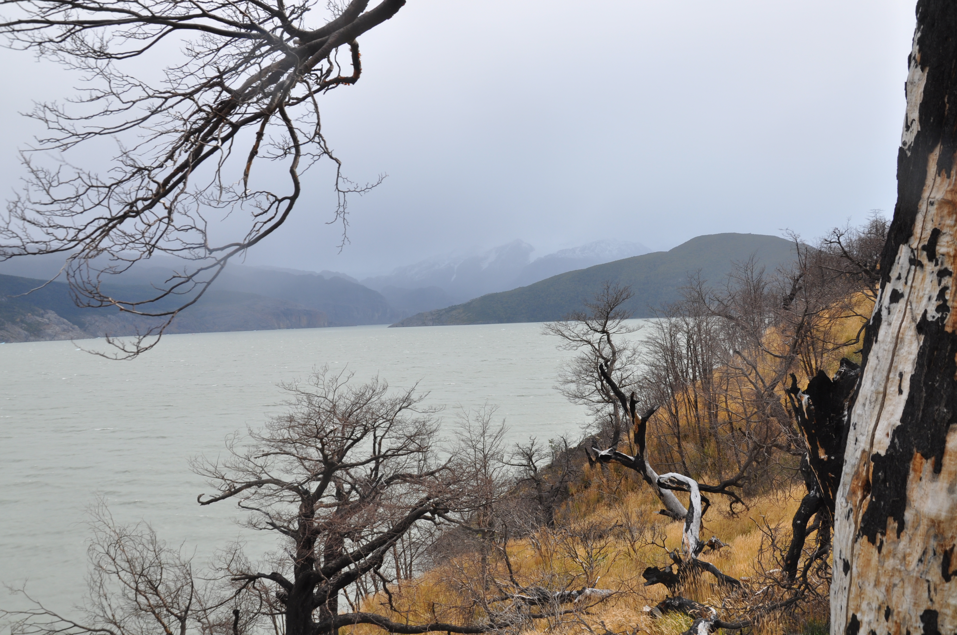 Along Lago Grey: The Lake